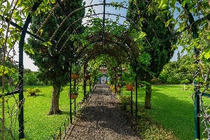 Hotel QUINTA JARDINS DO LAGO wakacje