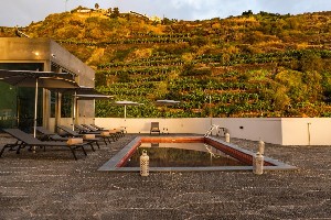 Hotel 1905 ZINO'S PALACE wakacje