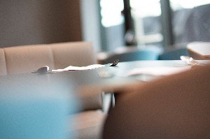 Hotel ROOMZ VIENNA PRATER wakacje