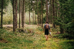 Hotel FALKENSTEINER GENUSS & WOHLFÜHLHOTEL MÜHLVIERTEL wakacje