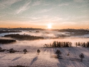 Hotel FALKENSTEINER GENUSS & WOHLFÜHLHOTEL MÜHLVIERTEL wakacje