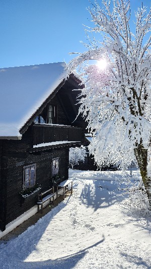 Hotel NATUREL HOTELDORF SCHÖNLEITN OBERAICHWALD wakacje