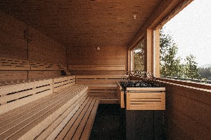 Hotel NATUREL HOTELDORF SCHÖNLEITN OBERAICHWALD wakacje