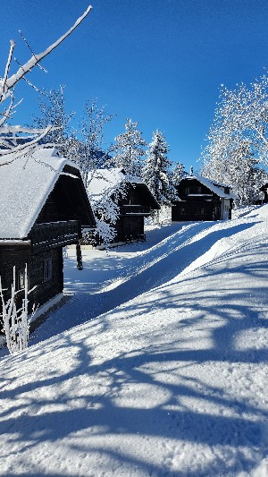 Hotel NATUREL HOTELDORF SCHÖNLEITN OBERAICHWALD wakacje