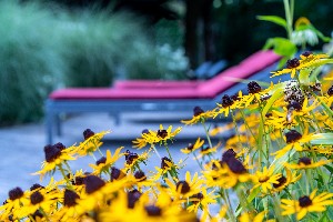 Hotel DER SCHÜTTHOF wakacje