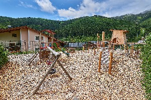 Hotel GARTEN HOTEL DAXER wakacje