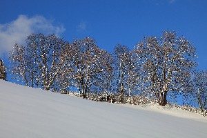 Hotel FAMILIEN- UND WELLNESSHOTEL DER HANNESHOF - DAS MONTANA wakacje