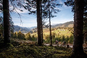 Hotel FAMILIEN- UND WELLNESSHOTEL DER HANNESHOF - DAS MONTANA wakacje