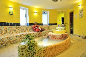 Hotel OPTIMAMED GESUNDHEITSRESORT BAD MITTERNDORF wakacje