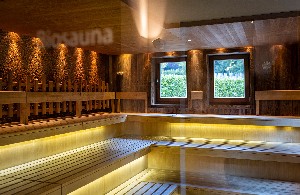 Hotel HEILTHERMEN RESORT BAD WALTERSDORF wakacje