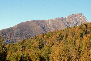 Hotel STIGENWIRTH wakacje