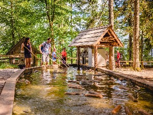 Hotel AKTIVHOTEL WEIßER HIRSCH wakacje
