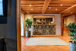 Hotel ERZHERZOG JOHANN - Zima wakacje