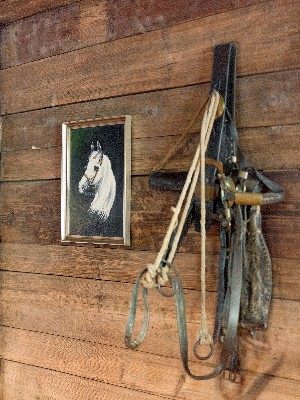 Hotel HARMONY HOTEL HARFENWIRT wakacje