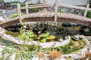 Hotel PENSION ALPENBLICK wakacje