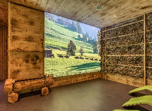 Hotel DAS SIEBEN ****sup. wakacje