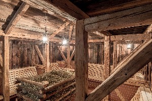 Hotel AQUA DOME wakacje