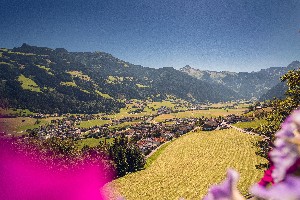 Hotel PANORAMAHOTEL SCHWENDBERGERHOF wakacje