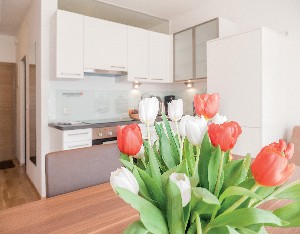 Hotel DER BRÜCKENWIRT wakacje