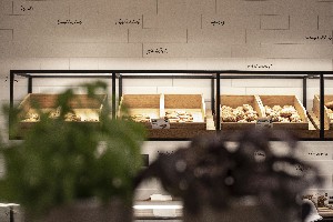 Hotel CASTEL wakacje