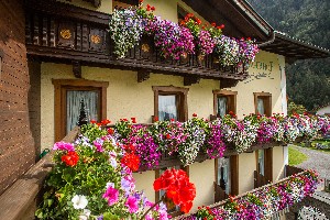 Hotel JÄGERHOF wakacje