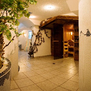 Hotel TIA APART wakacje