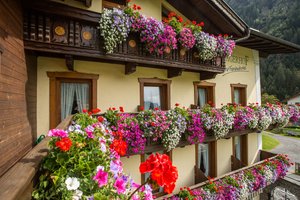 Hotel JÄGERHOF wakacje