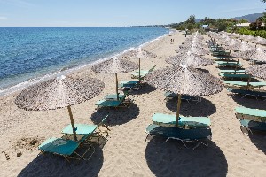 Hotel GOLDEN COAST HOTEL AND BUNGALOWS wakacje