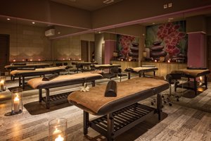 Spa and wellness