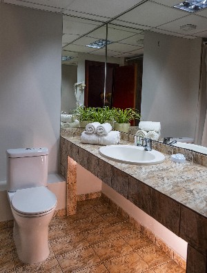 Bathroom Classic Room