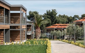 Hotel BLUE DOLPHIN RESORT wakacje