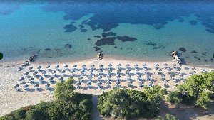 Hotel BLUE DOLPHIN RESORT wakacje