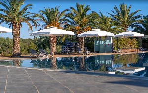 Hotel BLUE DOLPHIN RESORT wakacje