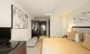 Hotel ALKYONIS wakacje