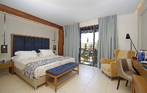 Double Executive Room Share Pool