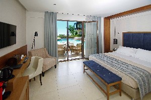 Double Executive Room Swim Up