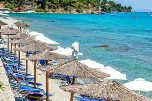 Hotel DOLPHIN BEACH wakacje