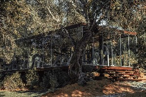 Hotel COOKS CLUB wakacje