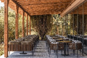 Hotel COOKS CLUB wakacje