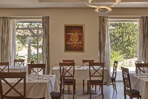 Hotel AMMOS RESORT wakacje