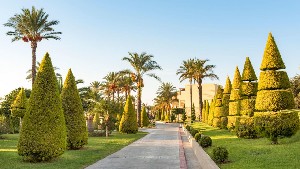 Hotel HORIZON BEACH RESORT wakacje