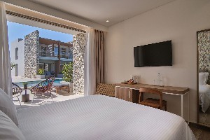 Double Standard Room Swim Up