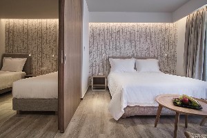 Standard Family Room