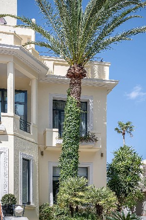 Hotel AVRA CITY BOUTIQUE HOTEL wakacje