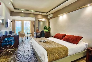 Executive Disabled Suite