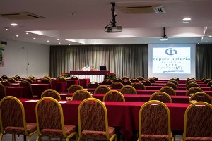 Conference Facilities