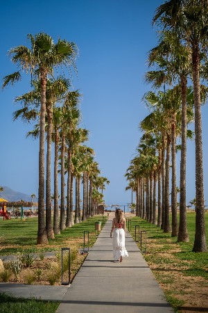 Hotel DELFINA TROPIC BEACH wakacje