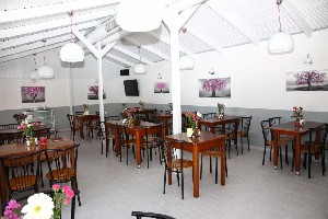 Hotel HAPPY DAYS STUDIOS wakacje