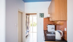 1 BDR STD APT ( ANNEX BUILDING ) 