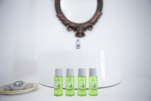 Double Standard Room (PoolView)